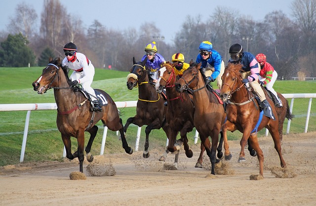 Start and Finish Delays in Horse Racing